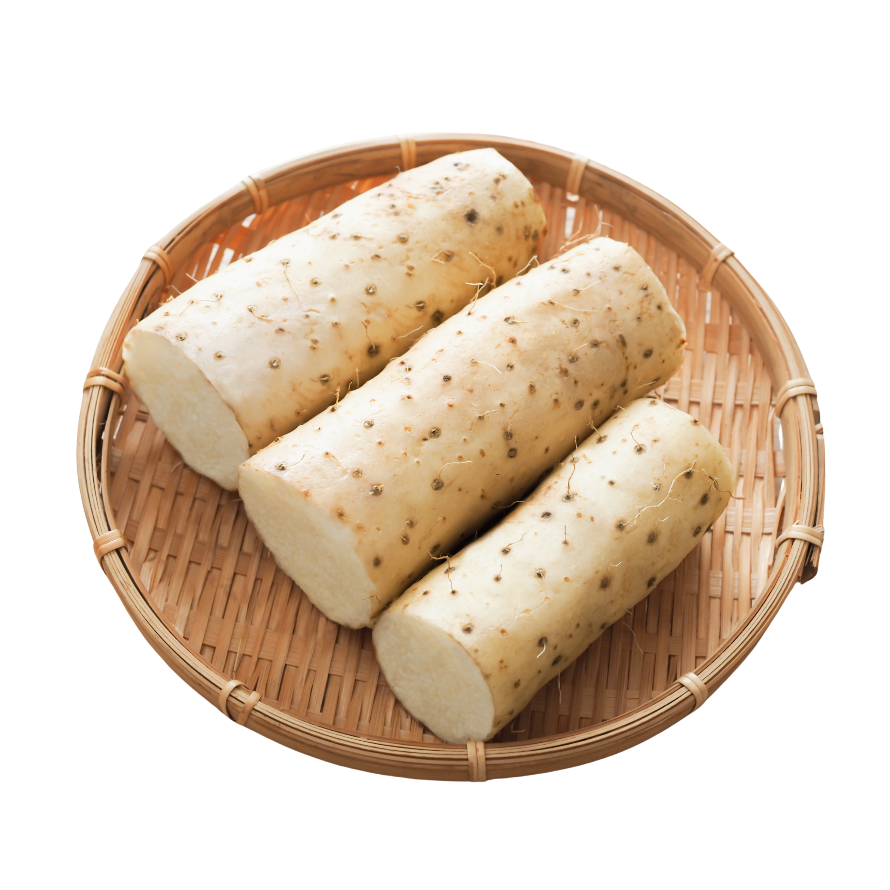 Japanese Mountain Yam in Appemor Kids, natural appetite vitamin supplement for children in Malaysia